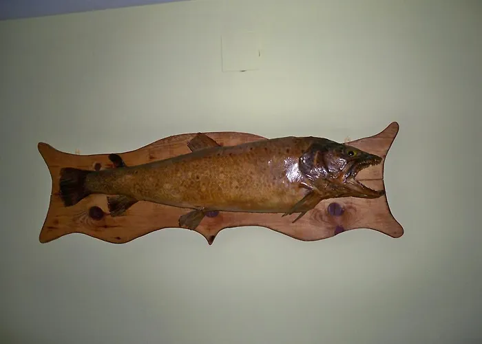 Гостевой дом 